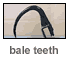 Steffen Bale Teeth